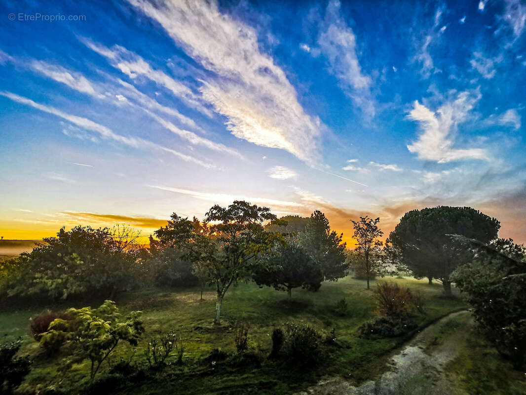 Maison à CINTEGABELLE
