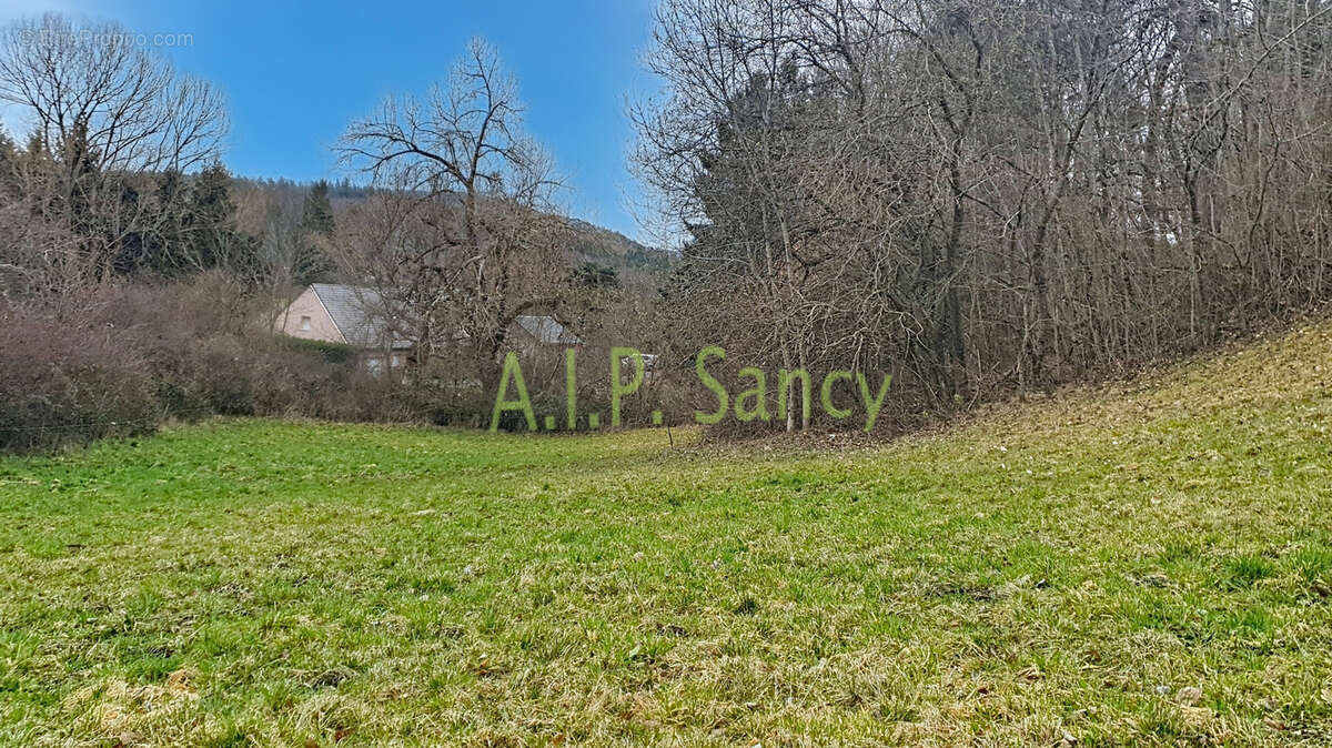 Disponibles à la vente 1 parcelle de terrain de 1 700 m2. - photo 5