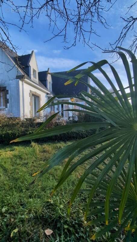 Maison à HENNEBONT