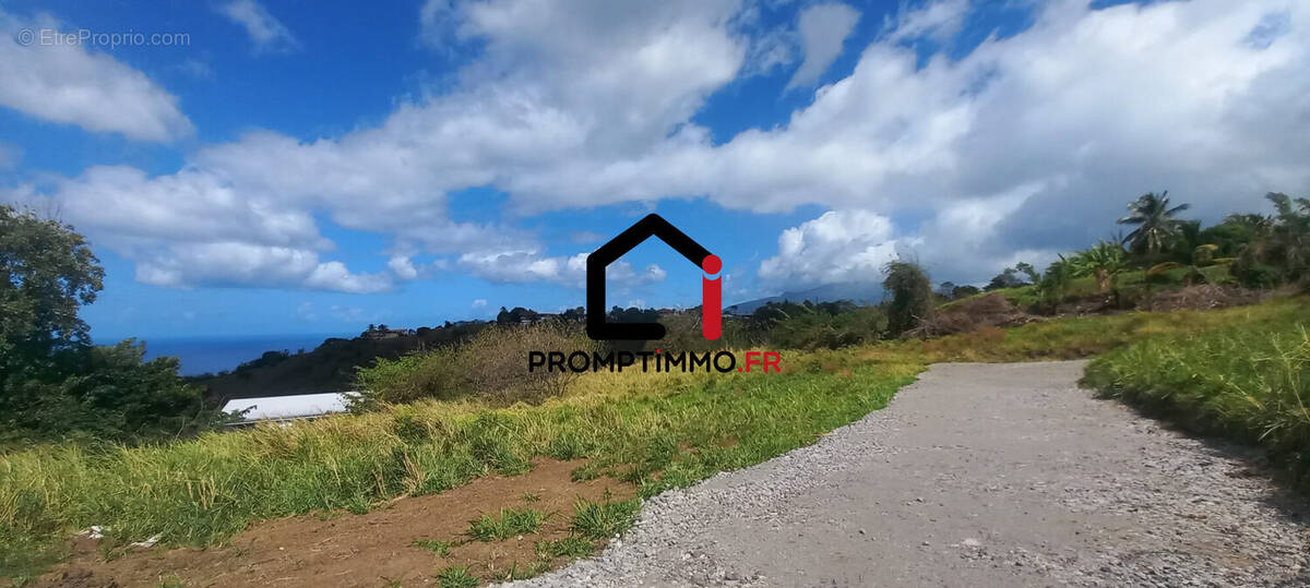 Terrain à LE CARBET