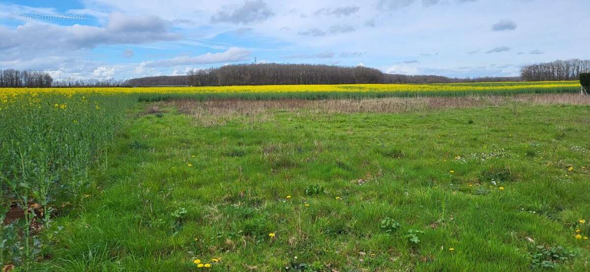 Terrain à TILLIERES-SUR-AVRE