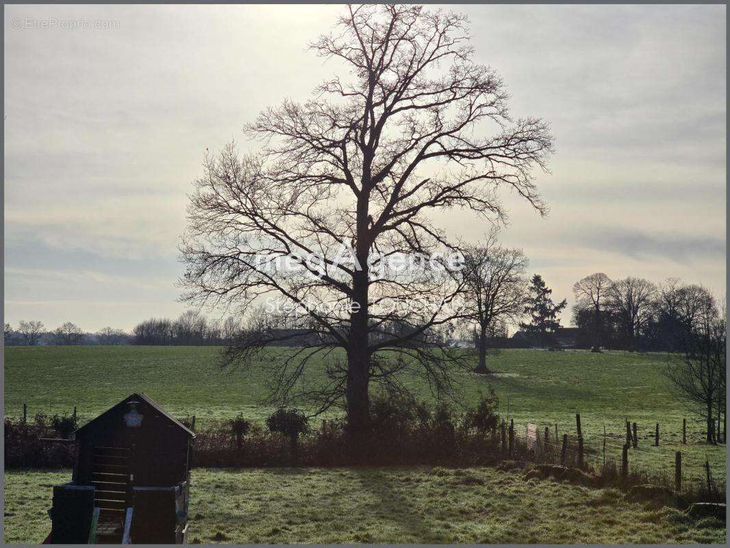 Maison à LA CHAPELLE-JANSON