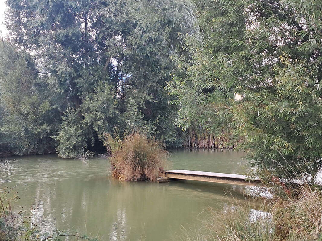 Photo 5 - Appartement à MARIGNY-LES-REULLEE