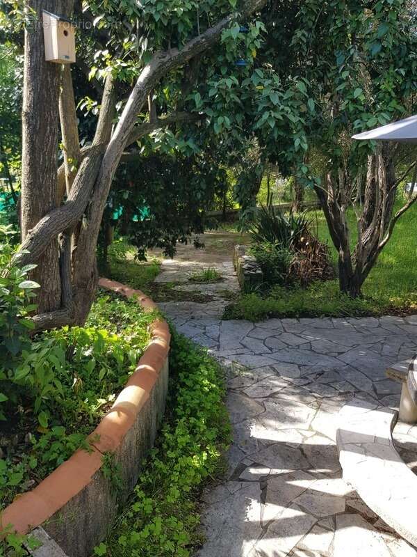 Villa moules et baucels (34) - photo 56