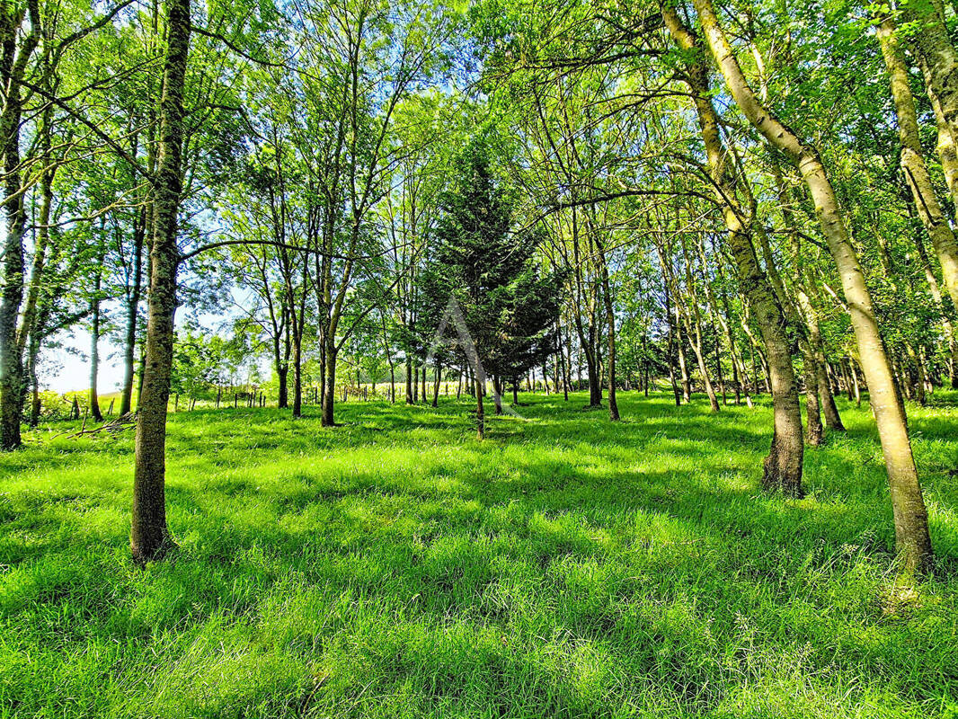 Terrain à CHAVAGNES