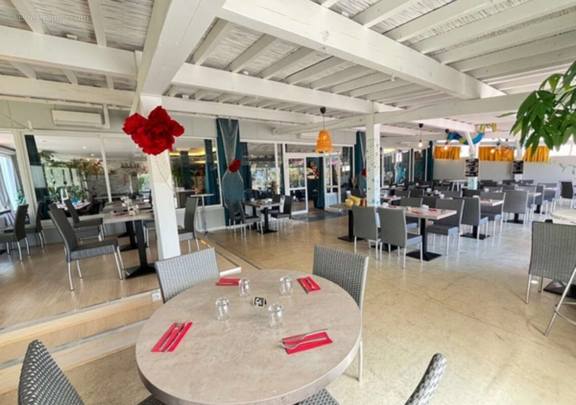 Commerce à SAINT-JEAN-DE-VEDAS