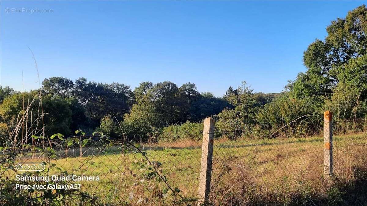 Terrain à CONFOLENS