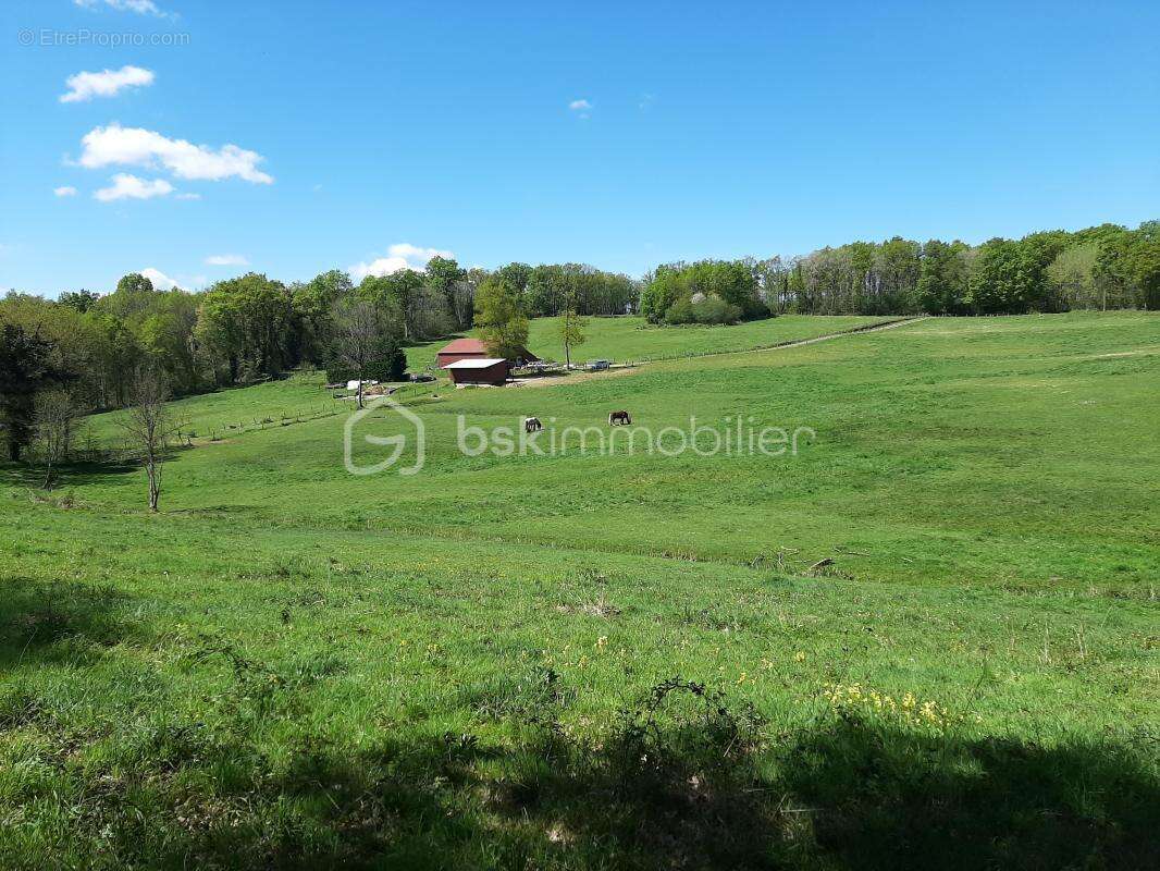 Terrain à CHAILLAC-SUR-VIENNE
