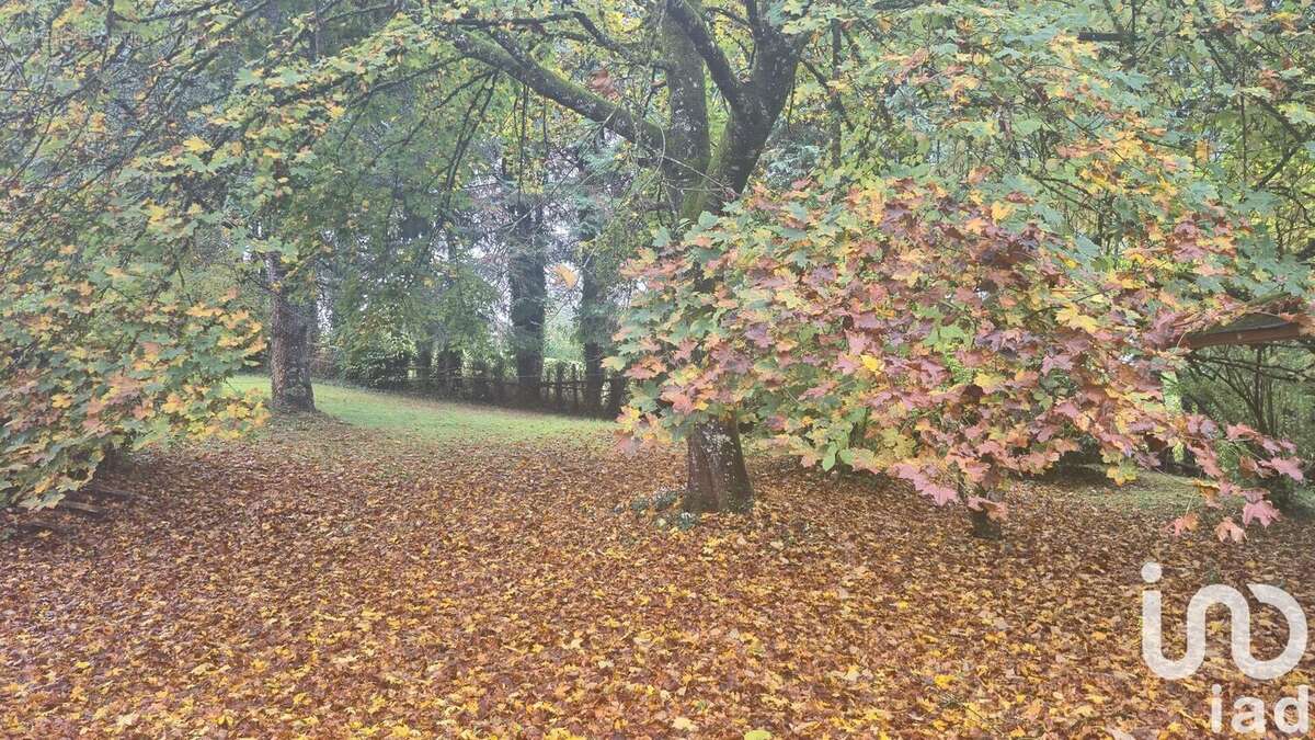 Photo 9 - Maison à SAINT-LEONARD-DE-NOBLAT