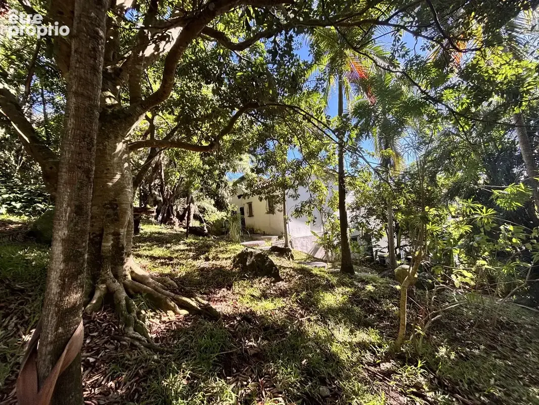 Propriété - 8 pièces - terrain de 4800 m² - photo 7