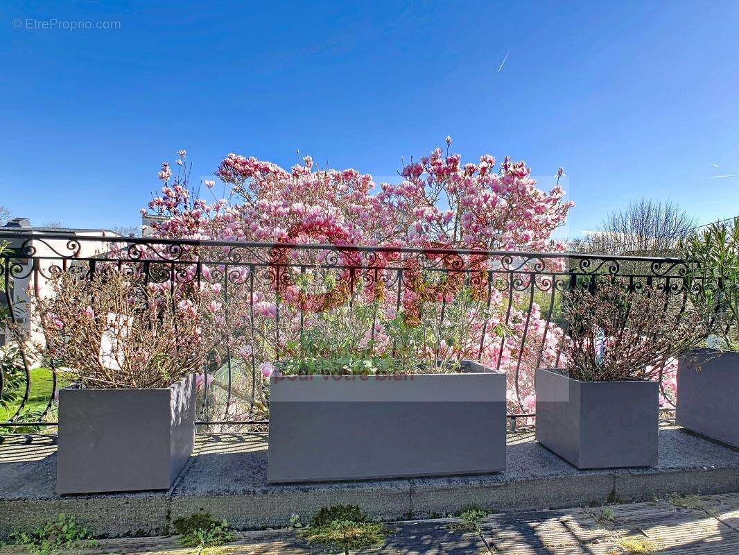 Maison à ISSY-LES-MOULINEAUX