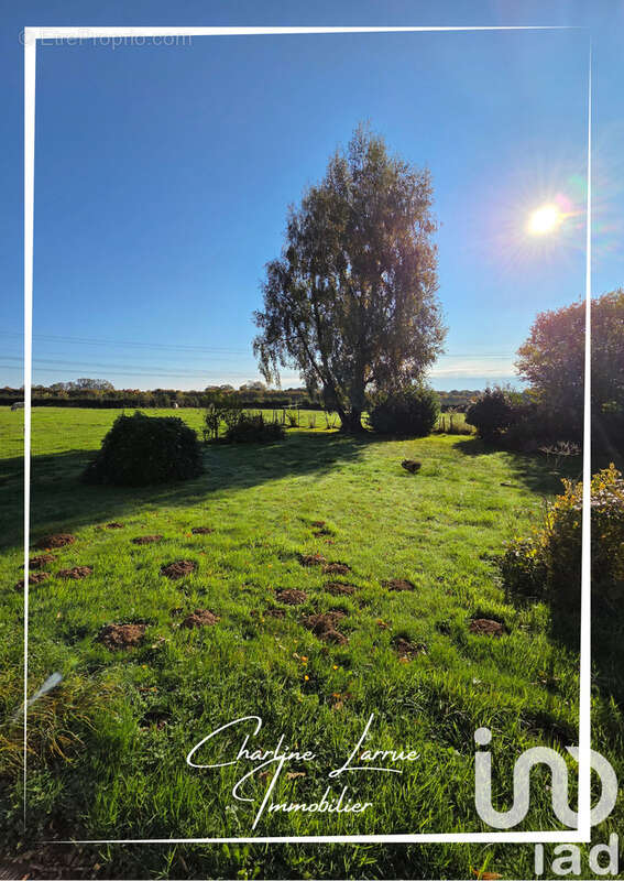 Photo 6 - Maison à FRESQUIENNES