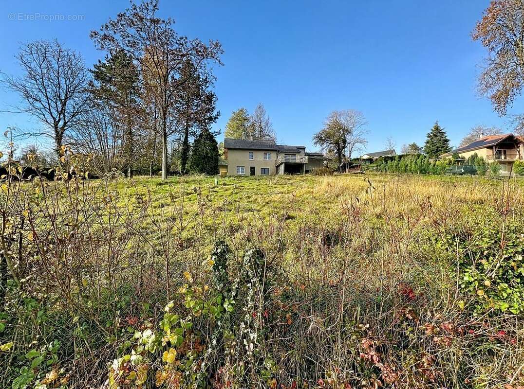 Maison à BERG-SUR-MOSELLE