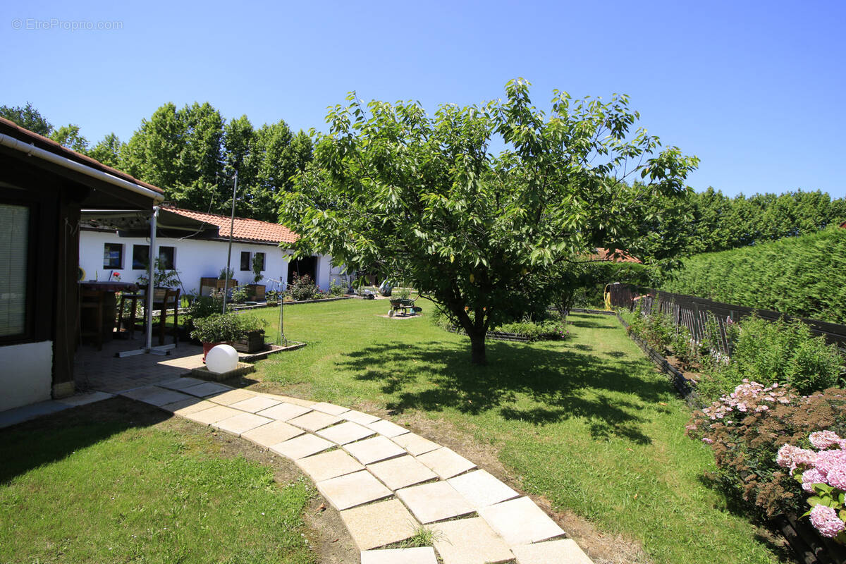 Maison à ESPELETTE