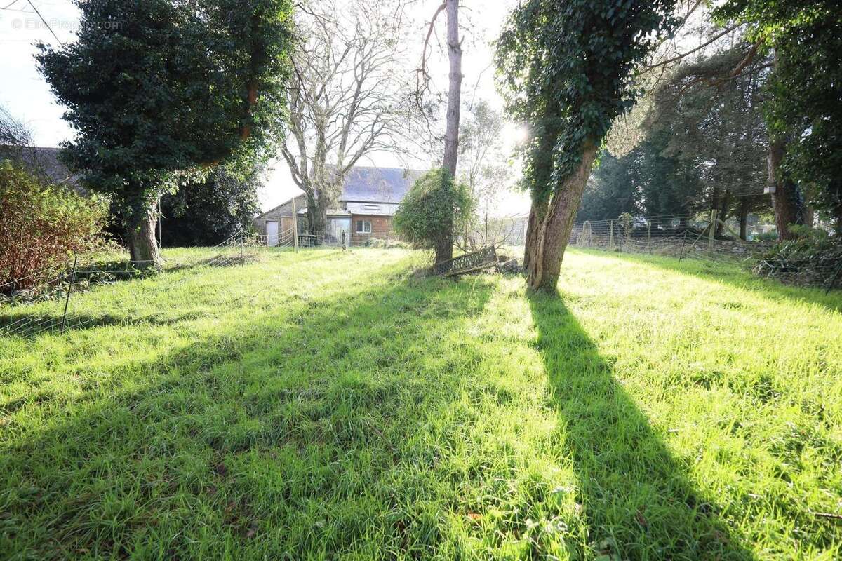 Photo 6 - Maison à LIFFRE