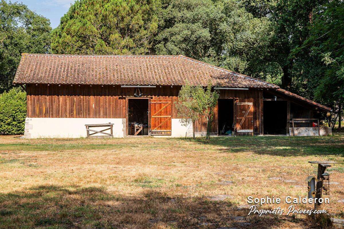 Maison Castets 190 m2 - photo 3
