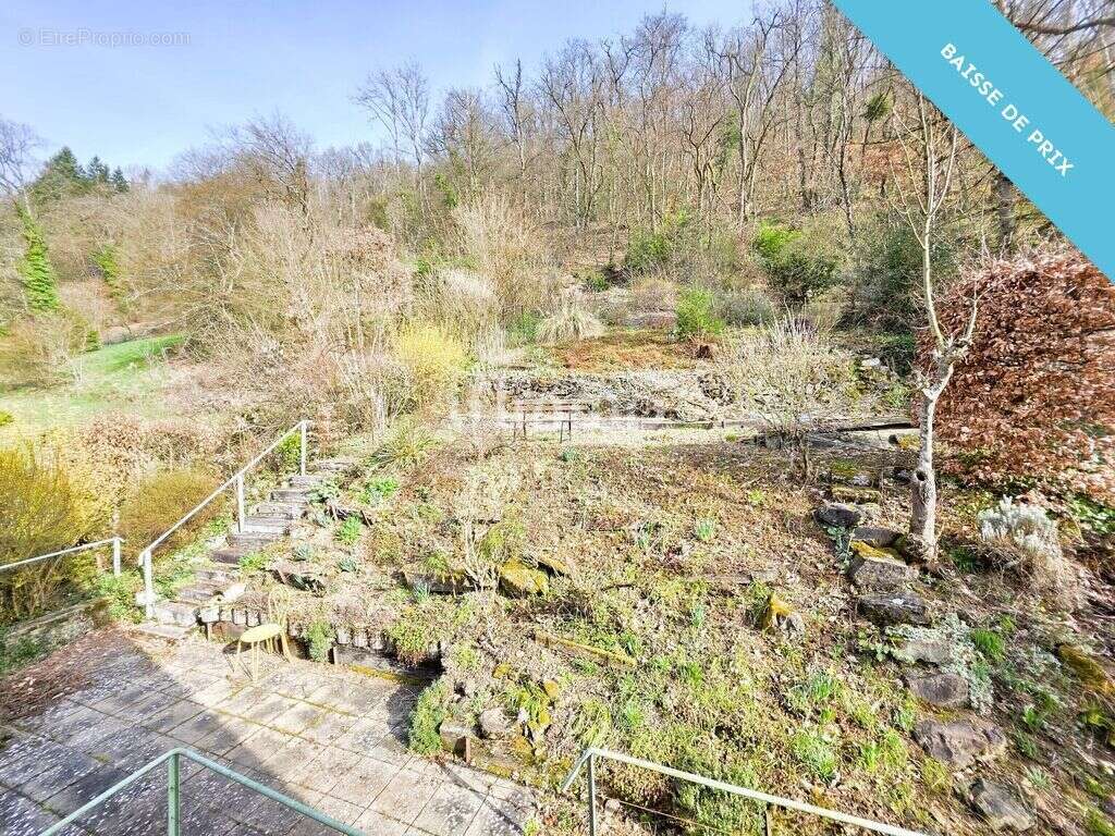 Maison 5 pièces 117 m² quartier Floridor à Thann(68800) - photo 12