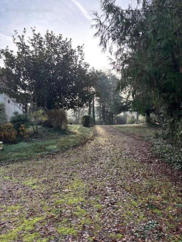 Photo 4 - Maison à LOCHES