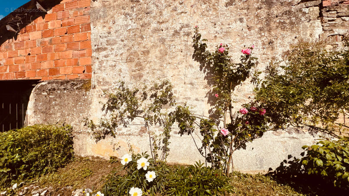Maison à AVALLON