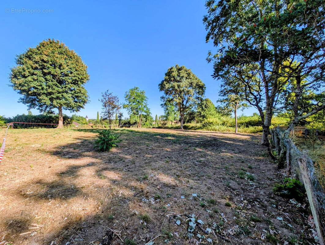 Terrain à DOMPIERRE-SUR-VEYLE