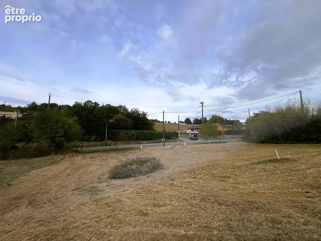 Exclusivité, villebrumier terrain constructible viabilisé. - photo 3