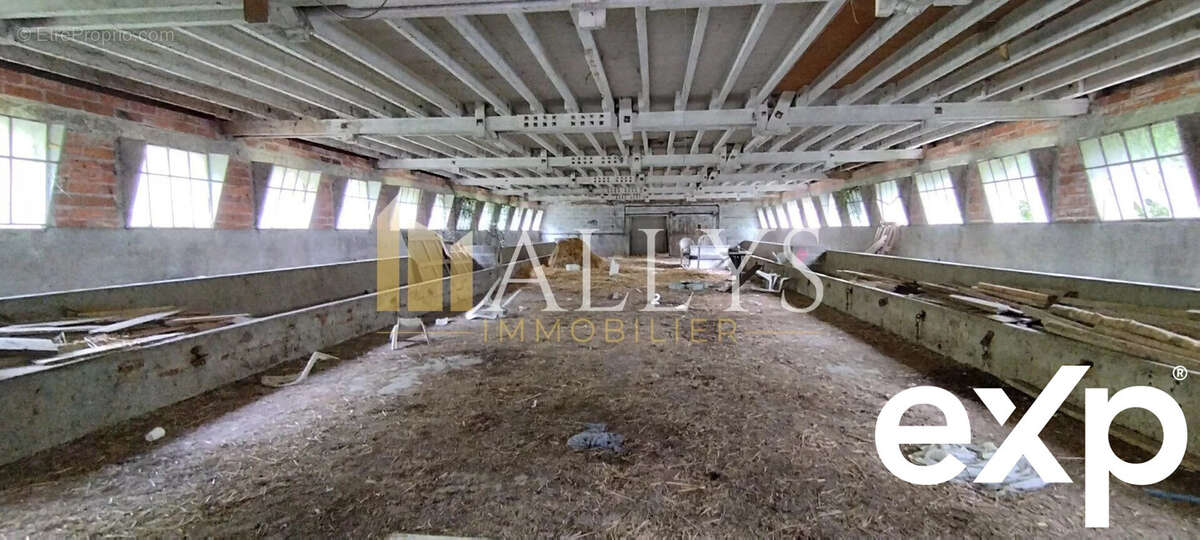 Commerce à RADEPONT