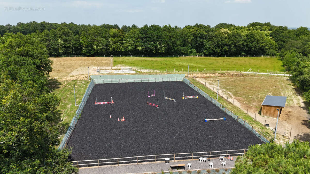 Terrain à SAINT-FLORENT-DES-BOIS