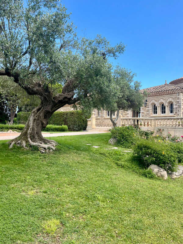Propriété d'Exception entre Montpellier et Sète  650 m² · 2,5 ha · Vue Mer Panoramique à 180° - photo 11