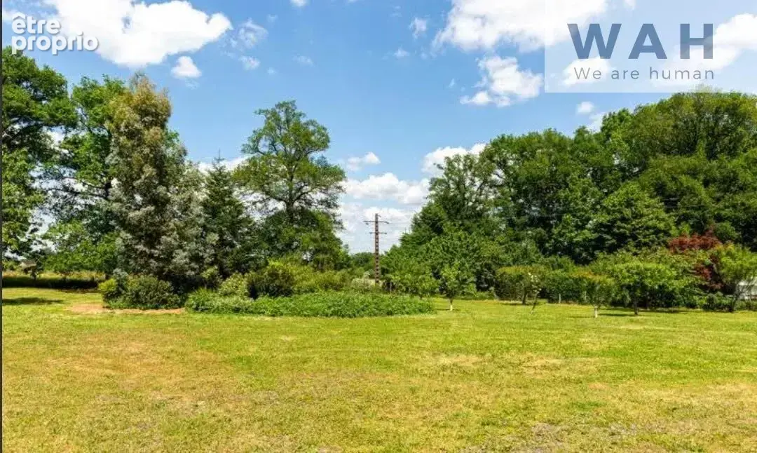 À vendre   Maison rénovée T4 avec dépendances et vaste terra - photo 14