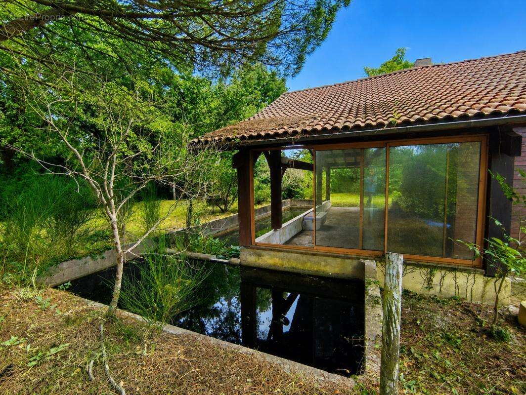 Appartement à LANTON
