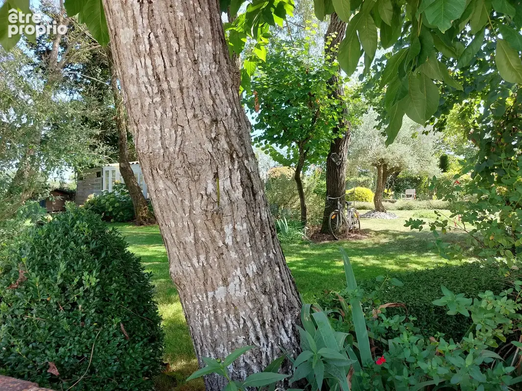 Maison à vendre 7 pièces MONTAUBAN (82) avec chambres d'hôtes, piscine, jardin et dépendance - photo 61