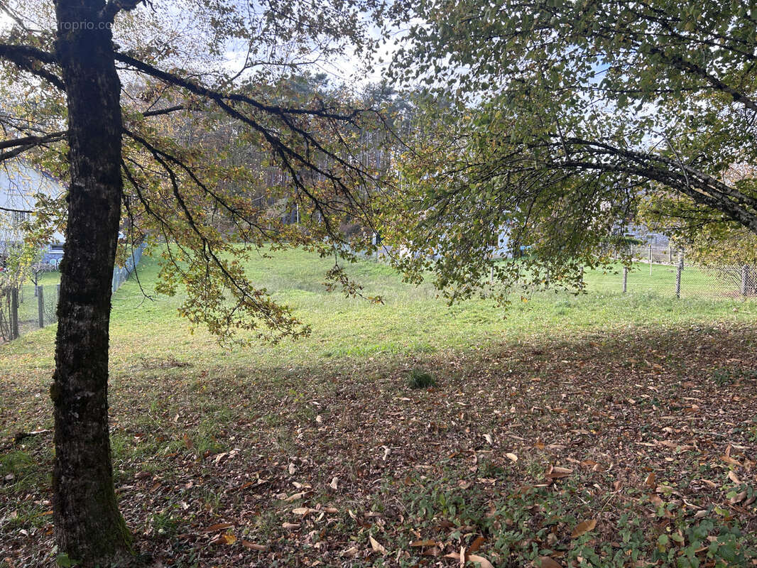 Terrain à SAINT-PRIVAT