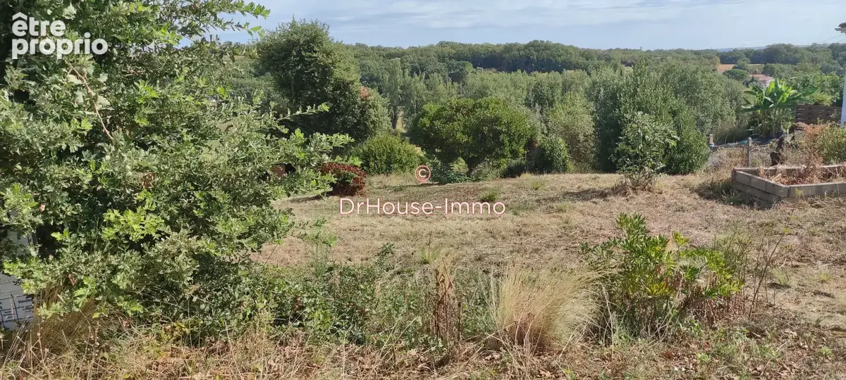 Terrain 1144 m² à Mauzac  - photo 6