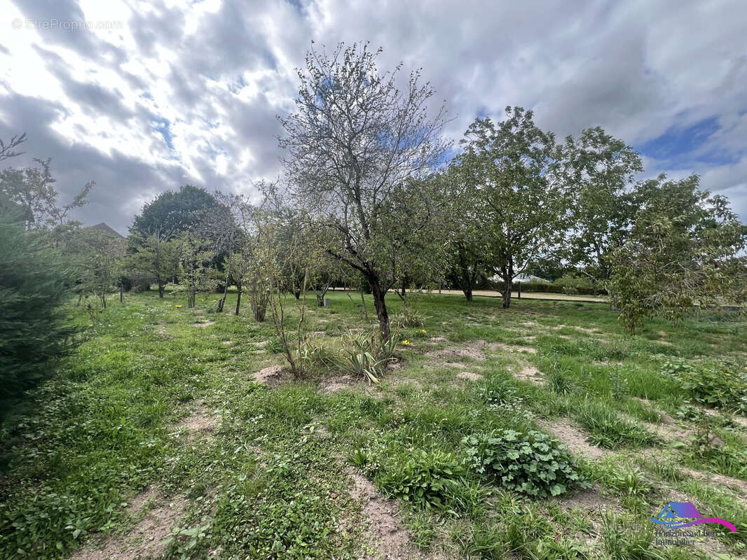 VERGER - Maison à CHATEAUMEILLANT