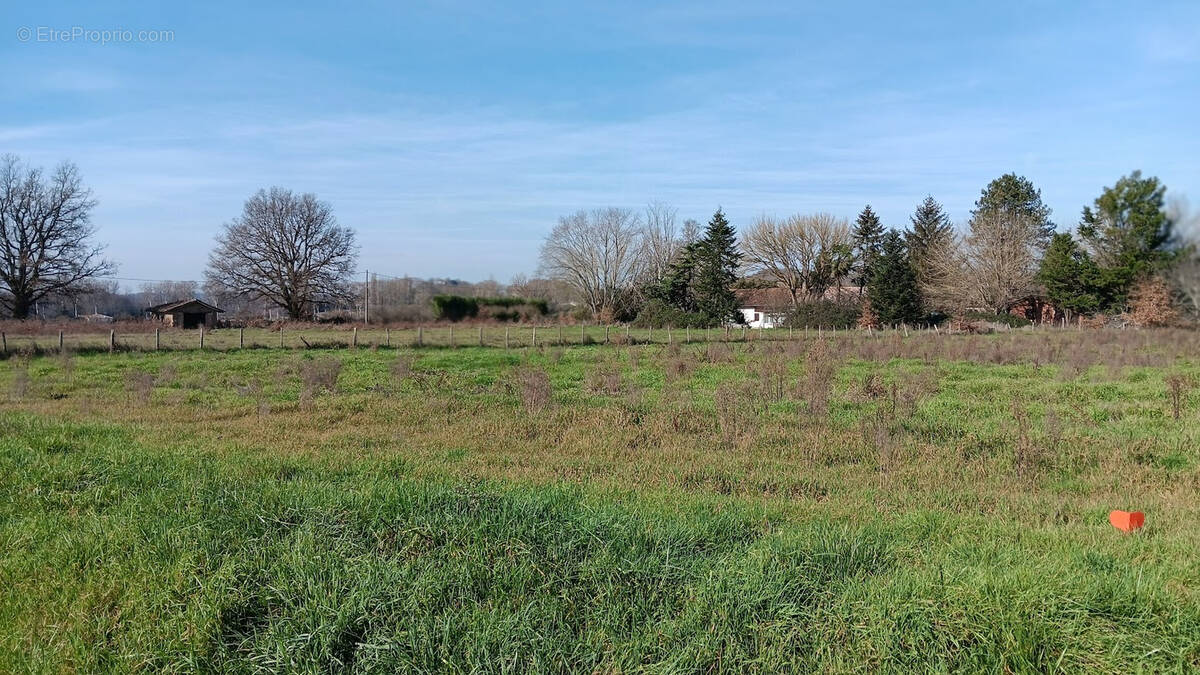 Terrain à LAFRANCAISE