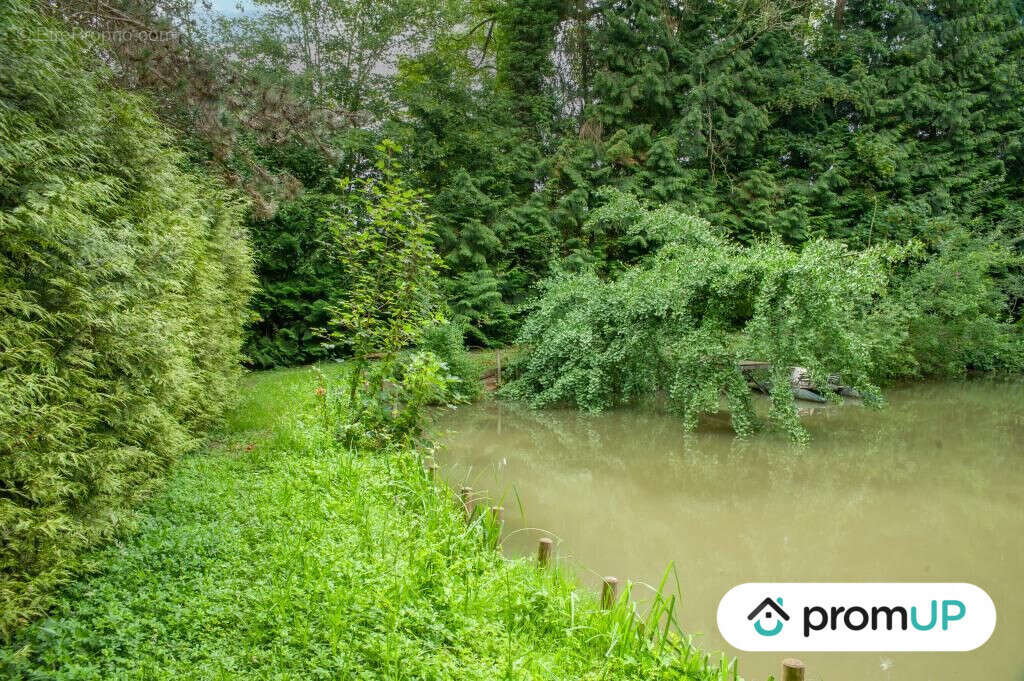 Terrain à COURMELLES