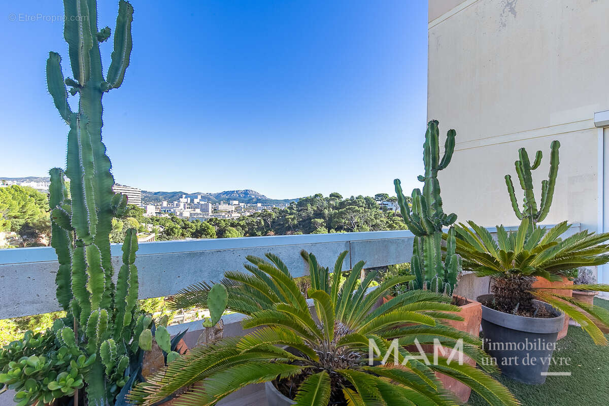 Appartement à MARSEILLE-8E