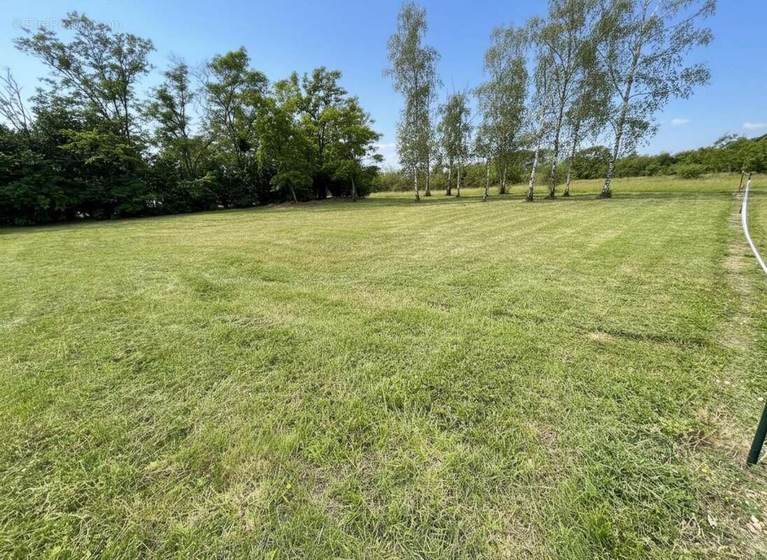 Terrain 1123 m² à Maves  - photo 2