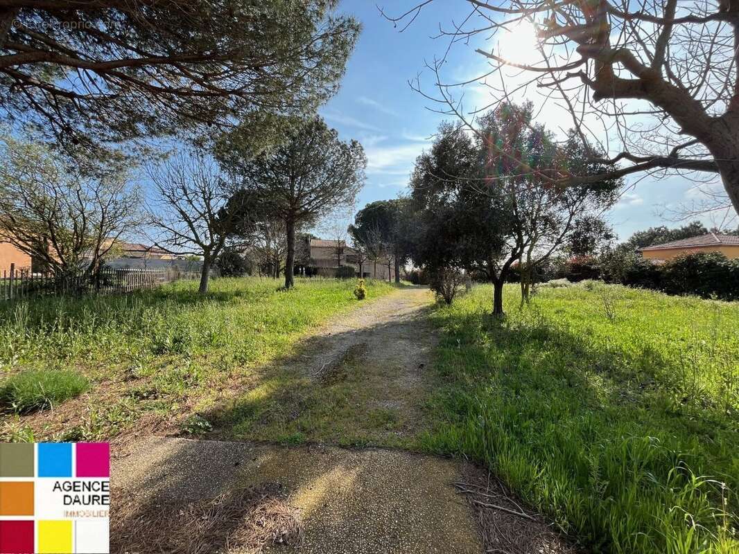 Terrain à PORTIRAGNES