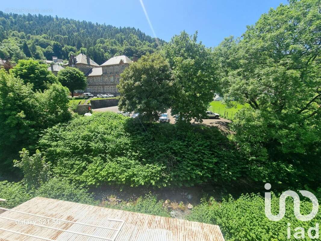 Photo 3 - Appartement à MONT-DORE