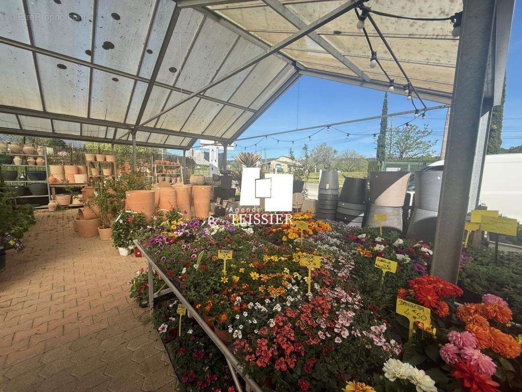 Commerce à LES VANS