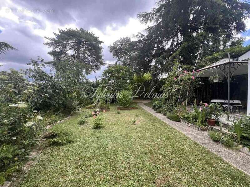 Maison à vendre 8 pièces SAINT CYR SUR LOIRE (37) - photo 5