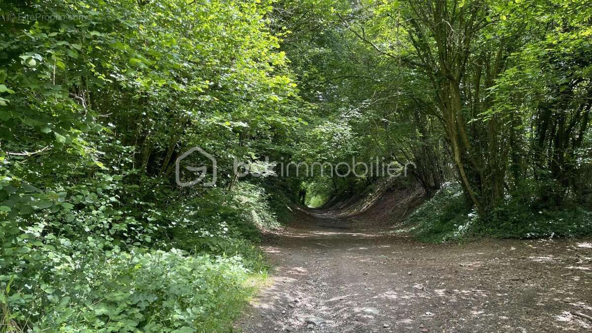 Terrain à ULLY-SAINT-GEORGES