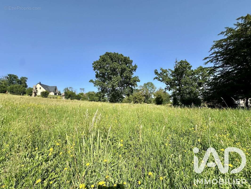 Terrain 3326 m² à Pont-L'eveque  - photo 3