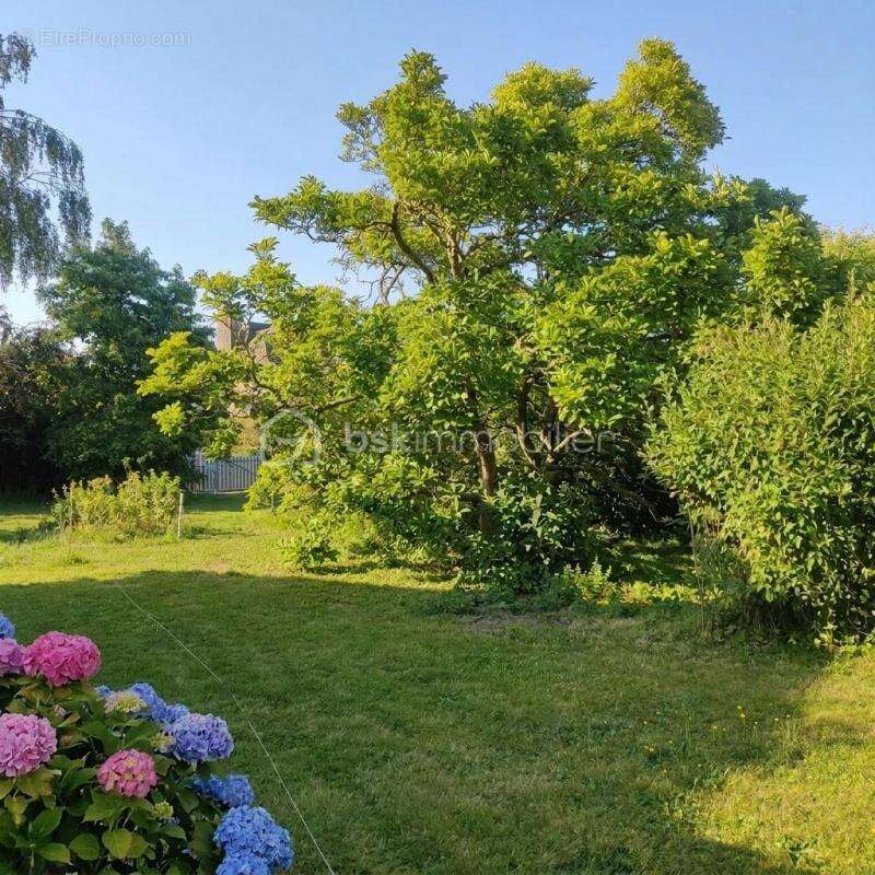 Terrain à bâtir de 550 m² – Bourg de Tréméreuc – 10 km de Dinard - photo 5