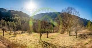 Maison à SAINTE-CROIX-DU-VERDON