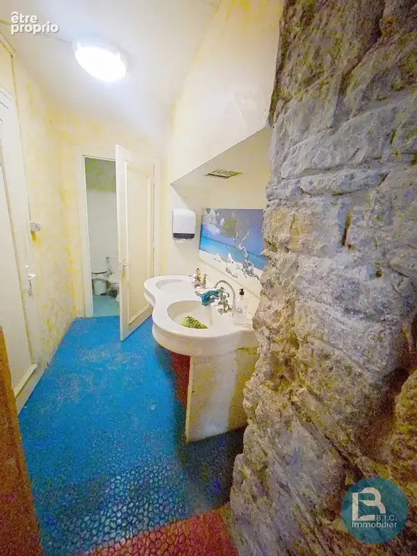 Commerce 60 m² à vendre à Lyon-9e (69009) - photo 5