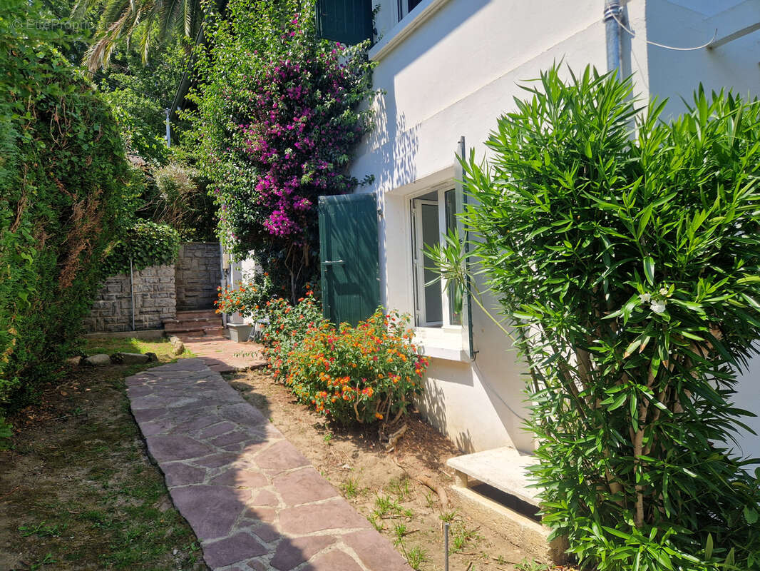 Maison à CIBOURE