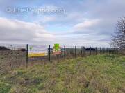 Terrain à DUPPIGHEIM