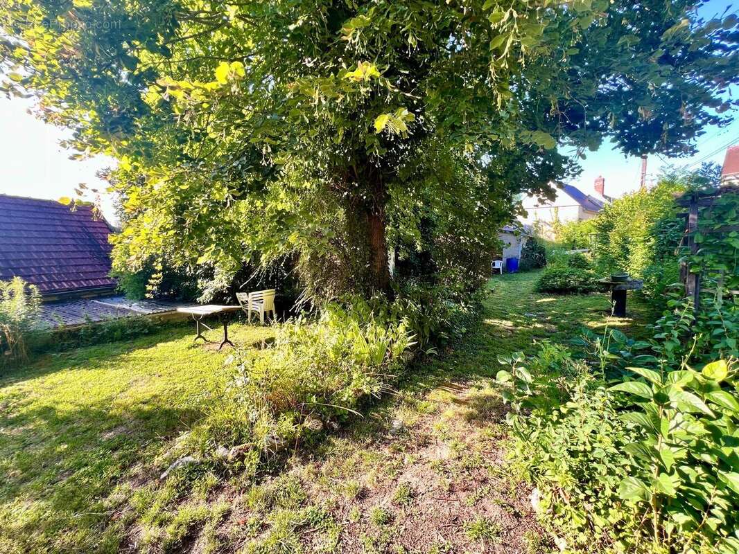 Photo 9 - Maison à VILLERS-COTTERETS